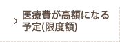 医療費が高額になる予定(限度額)