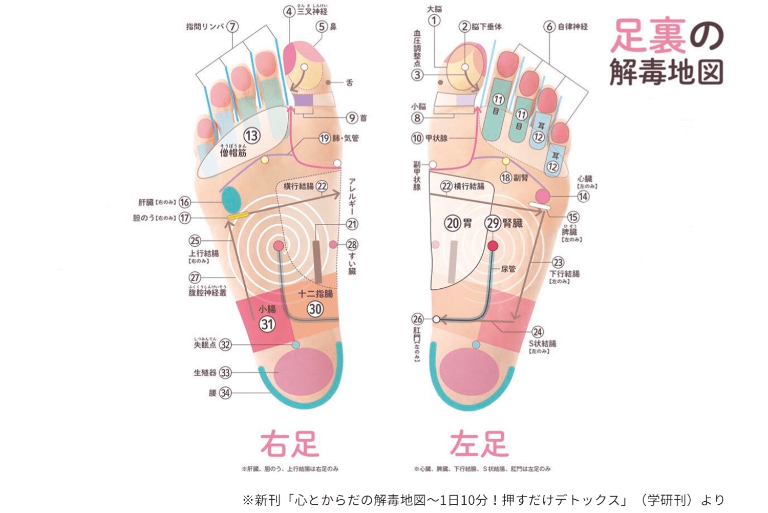 だけ 冷たい 右足