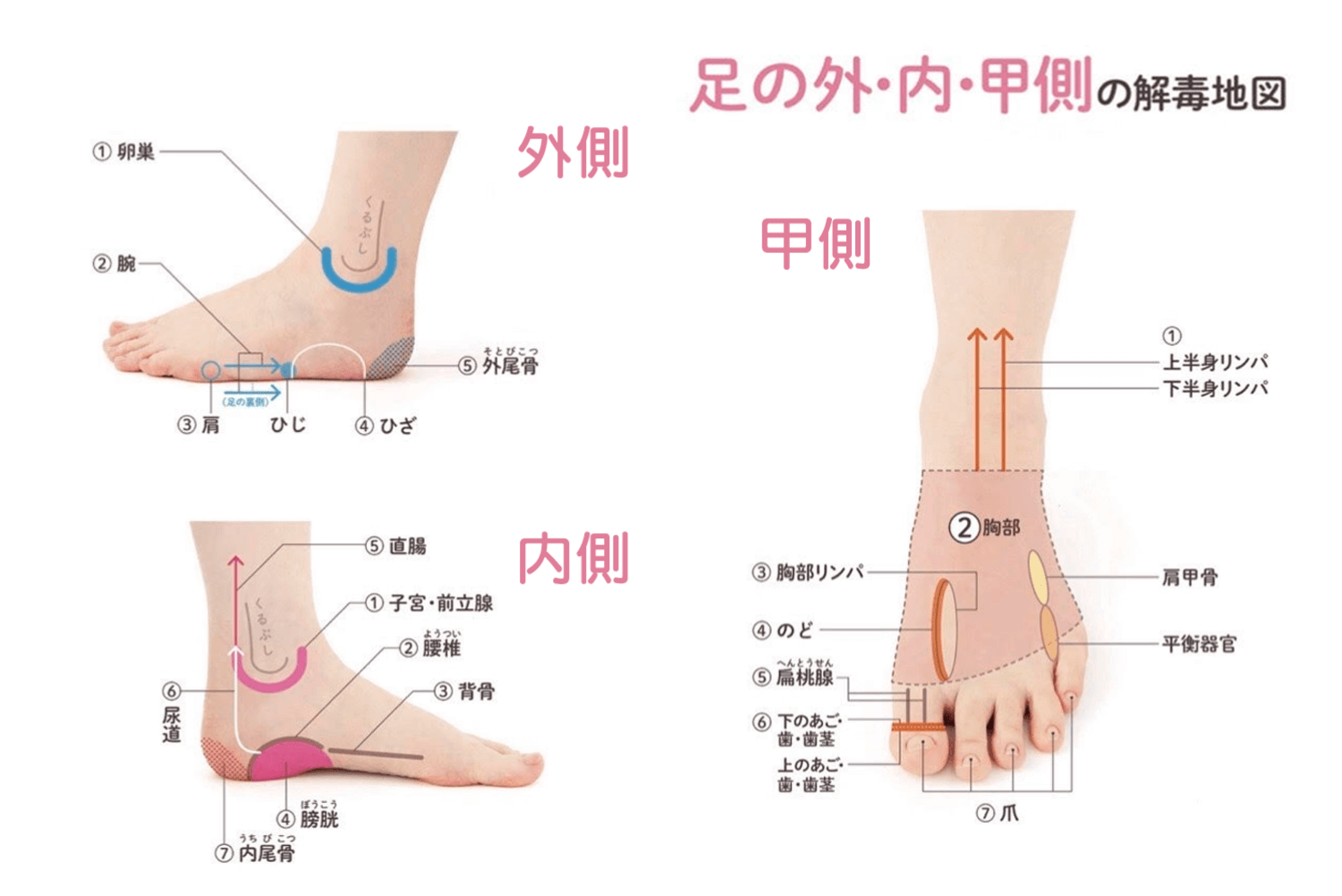 卵巣 かかと 痛み かかとカサカサの原因は病気なの？足からわかる3つのリスクとは