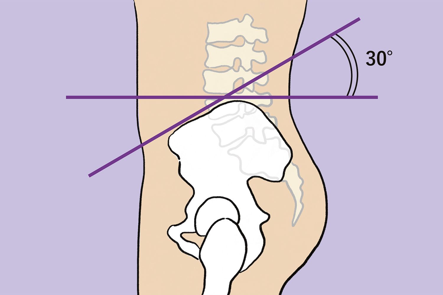 骨盤の角度30°
